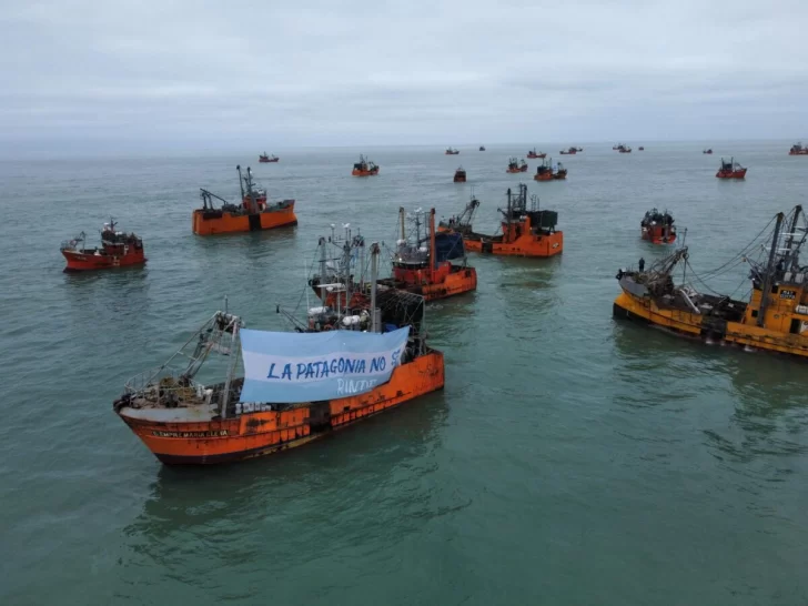 CAPIP: “La Ley Federal de Pesca hizo que el mar sea sustentable”