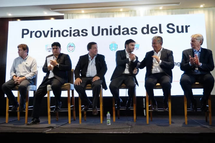 Cumbre de gobernadores patagónicos: qué dice la declaración que le presentarán a Milei 