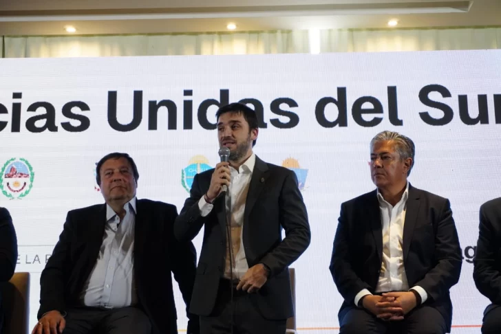 Ignacio Torres fue designado presidente del Tratado de la Región Patagónica