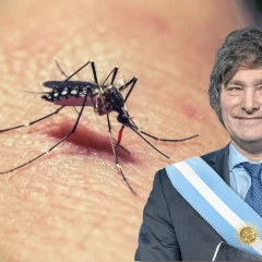 Milei dijo que no aplicará la vacuna contra el dengue: “En tres meses los mosquitos desparecen”
