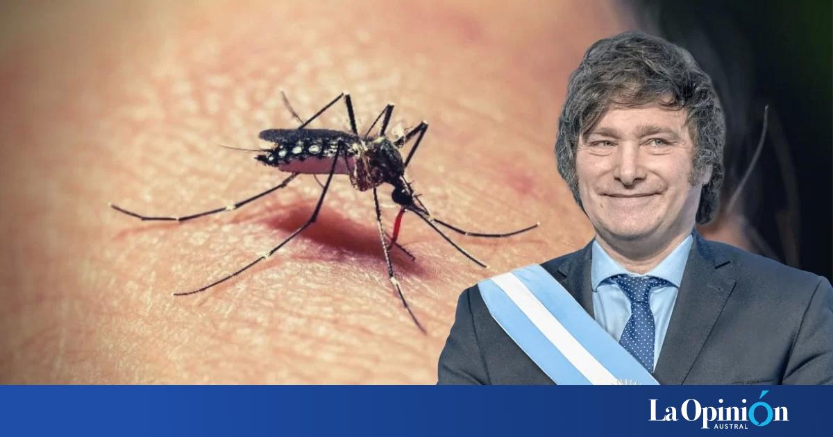 El País Dengue La Opinión Austral 6062