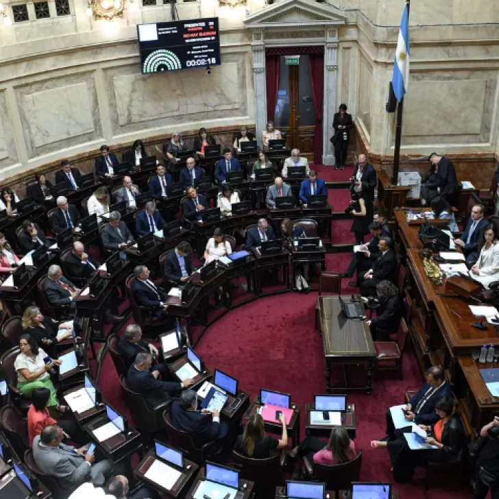 Dos senadores radicales pidieron renunciar al aumento de sueldo