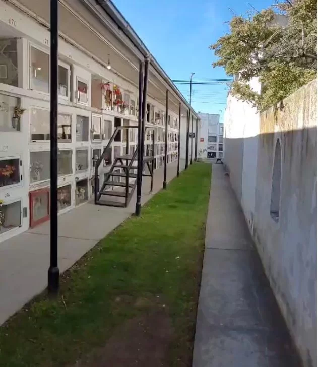 6d6714a3-e1f1-4f19-8e83-4fd83bef8094-631x728 6d6714a3-e1f1-4f19-8e83-4fd83bef8094-631x728