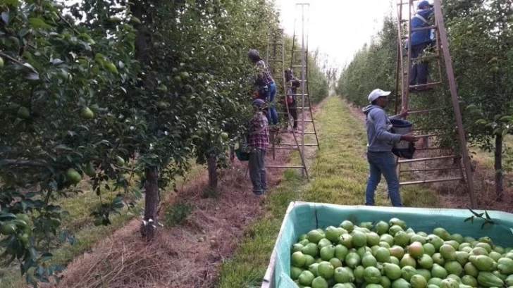 Encuentran 15 trabajadores en condiciones inhumanas en un campo de Neuquén