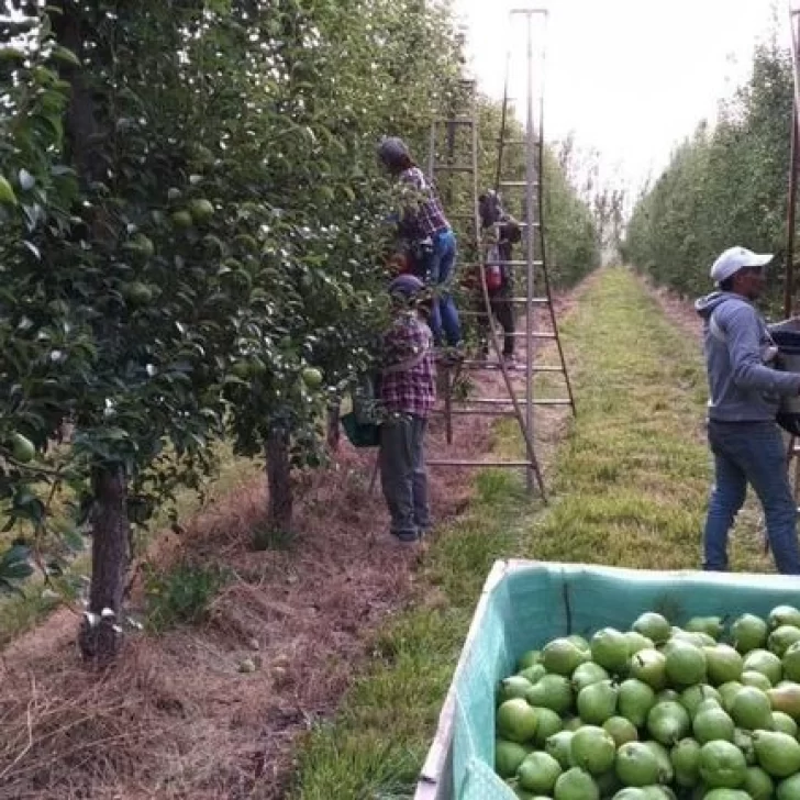 Encuentran 15 trabajadores en condiciones inhumanas en un campo de Neuquén