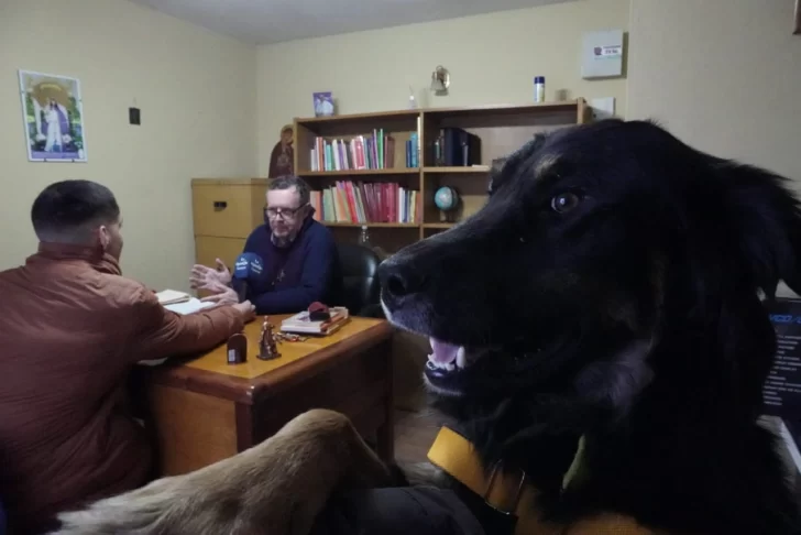 Bendicion-Dia-del-Animal-2-728x486