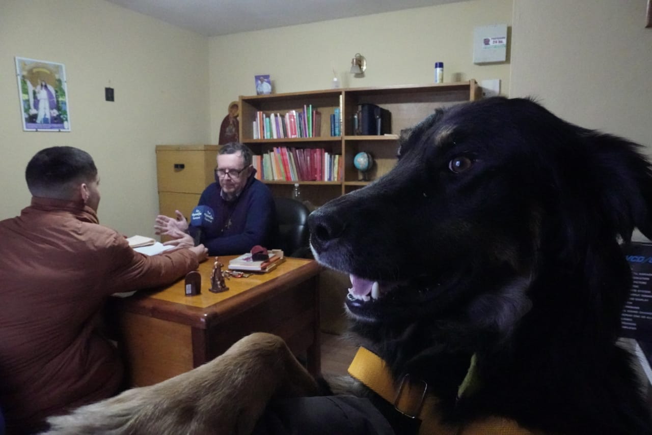 Bendicion-Dia-del-Animal-2-728x486