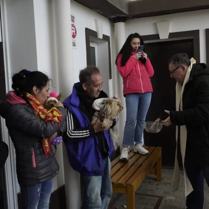 Día del Animal: perros y gatos de Río Gallegos recibieron la bendición Día del Animal: perros y gatos de Río Gallegos recibieron la bendición