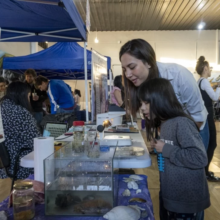 Festival Federal “Elijo crecer” en Río Gallegos: “Es importante producir conocimiento desde Santa Cruz”