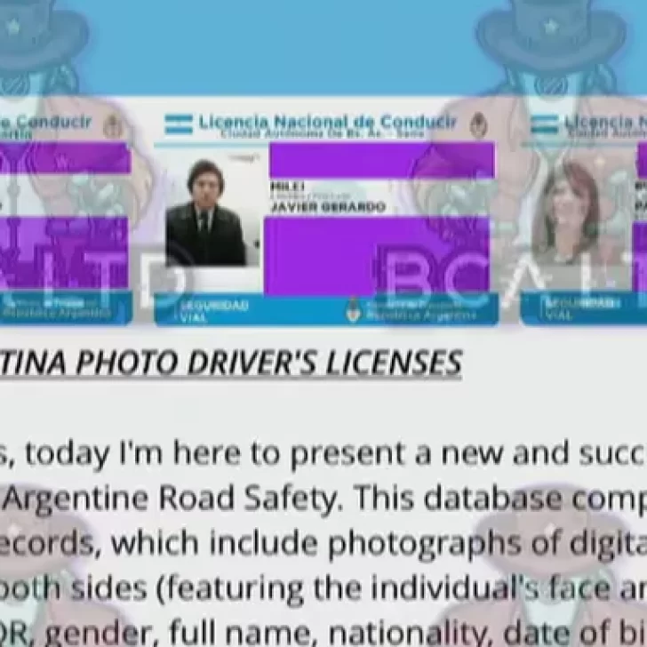 Roban la base de datos de todas las licencias de conducir del país Roban la base de datos de todas las licencias de conducir del país