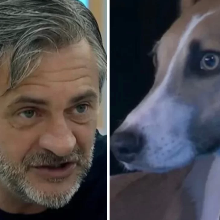 Arturo, la mascota de Gran Hermano, atacó a Darío: “Necesita…”