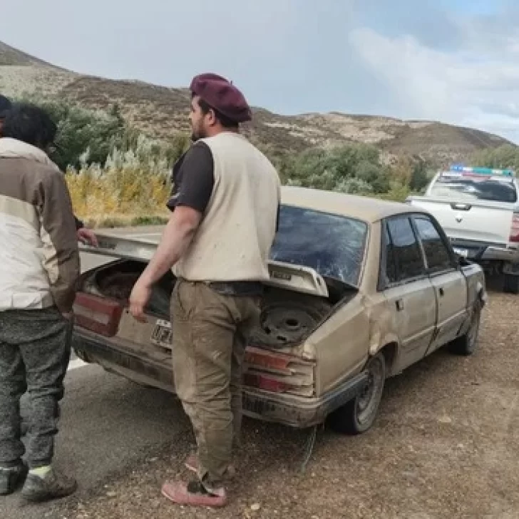 Dos hombres fueron interceptados con 200 kilos de carne de guanaco y cuatro galgos Dos hombres fueron interceptados con 200 kilos de carne de guanaco y cuatro galgos