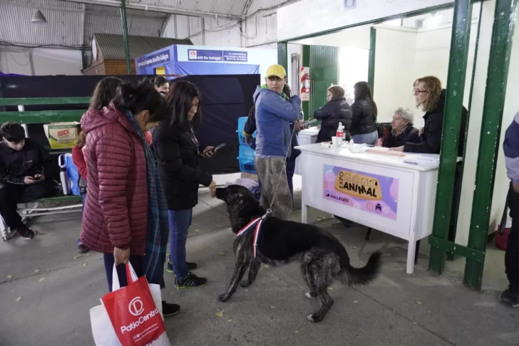 La Expo Animal 2024 abrió sus puertas en la Sociedad Rural de Río Gallegos
