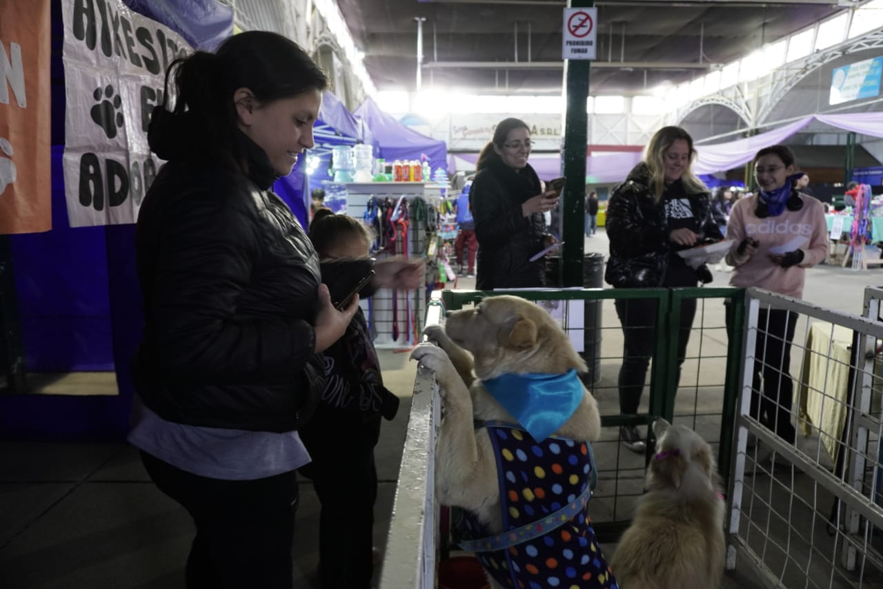 expo-animal-rio-gallegos-LF-9-728x486
