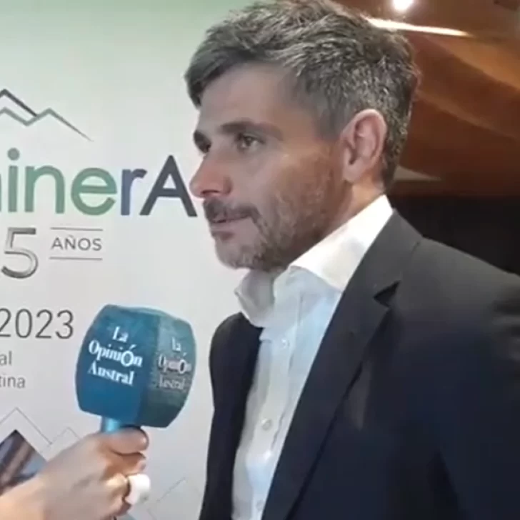 Franco Mignacco: “El RIGI reconstruirá la confianza perdida ante el mundo” Franco Mignacco: “El RIGI reconstruirá la confianza perdida ante el mundo”