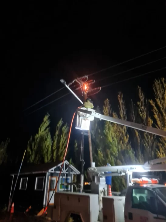 Incendio en Isla Pavón: Bomberos sofocan llamas en el tendido eléctrico