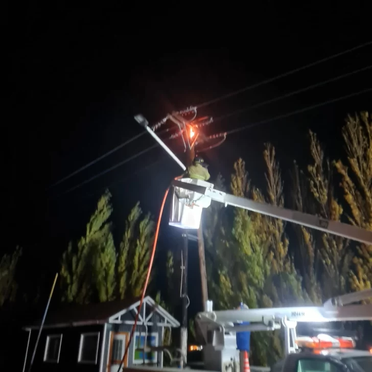 Incendio en Isla Pavón: Bomberos sofocan llamas en el tendido eléctrico