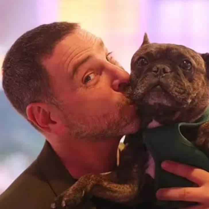 Impulsan en Chile una Ley para dar un día libre por duelo ante la muerte de una mascota Impulsan en Chile una Ley para dar un día libre por duelo ante la muerte de una mascota