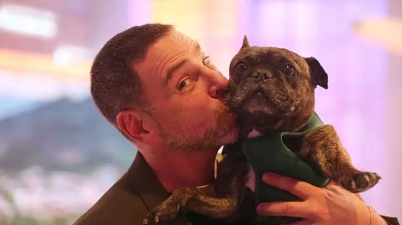 Impulsan en Chile una Ley para dar un día libre por duelo ante la muerte de una mascota Impulsan en Chile una Ley para dar un día libre por duelo ante la muerte de una mascota