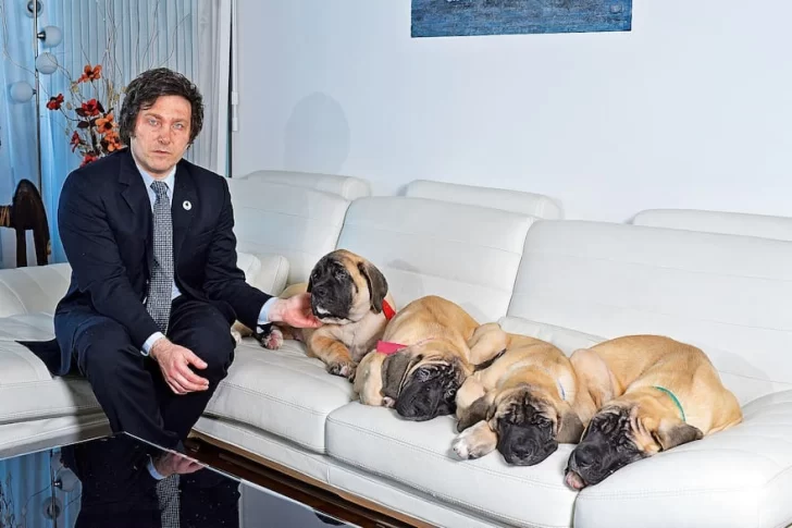 Adorni sobre los perros de Javier Milei: “Si él dice que son cinco, son cinco y se terminó”