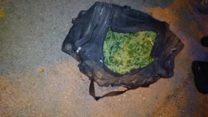 Intentaron escapar con 31 plantas de marihuana en un bolso y fueron detenidos