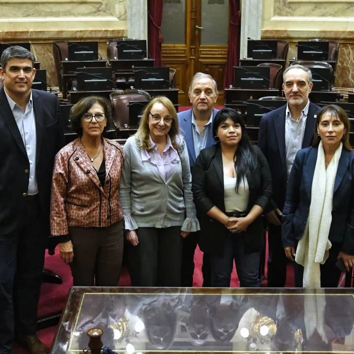 Senadores patagónicos pidieron que se rechace “en pleno” la Ley Bases