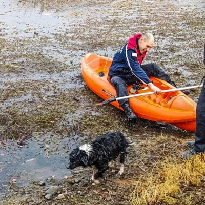 Un perrito quedó atrapado en una laguna congelada y bomberos lo rescataron