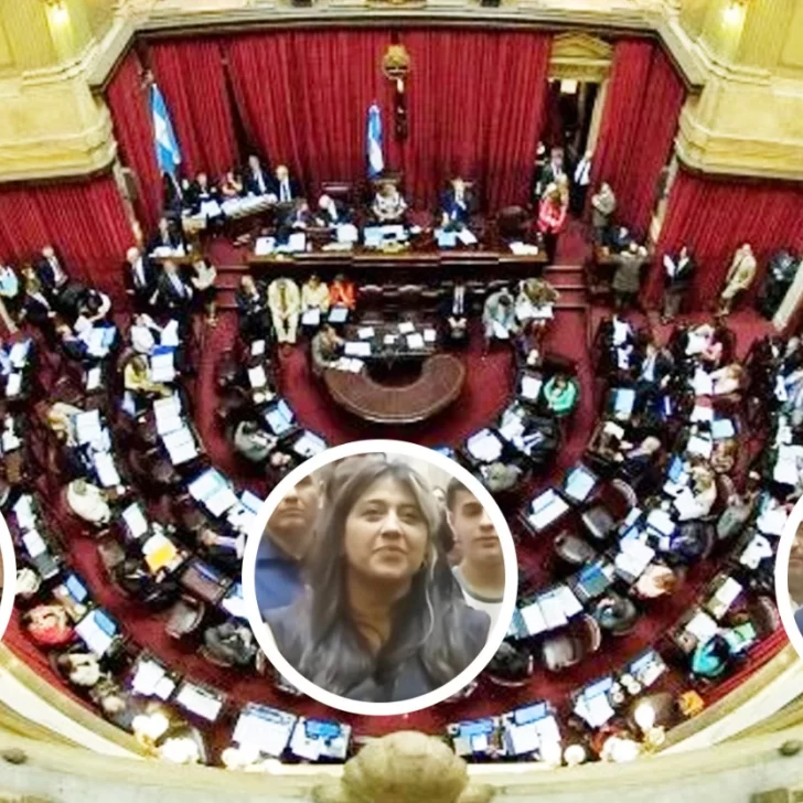 Ley Bases en el Senado: los votos de Carambia y Gadano, entre los que podrían ser claves