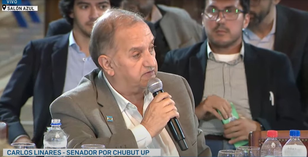 Linares: El Pacto de Mayo será “una rendición de los gobernadores que vayan a ir”