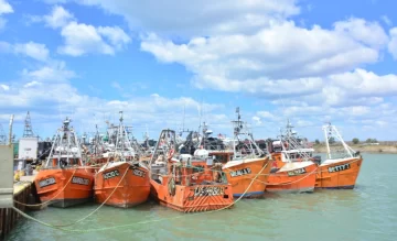 La Cámara de la Flota Amarilla respaldó el acuerdo entre Santa Cruz y empresa pesquera china La Cámara de la Flota Amarilla respaldó el acuerdo entre Santa Cruz y empresa pesquera china