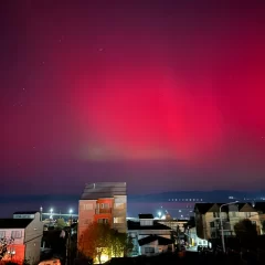 Por la tormenta solar, auroras australes iluminaron el cielo de Ushuaia y la Base Marambio