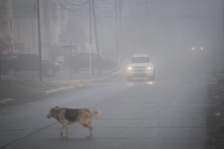 Clima en Río Gallegos: pronóstico del tiempo para este jueves 12 de junio de 2025