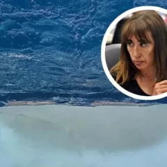 Roxana Reyes: “El Glaciar Perito Moreno está en peligro”