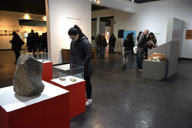 Llega una nueva edición de la Noche de los Museos en Río Gallegos: cuándo y cómo serán los recorridos