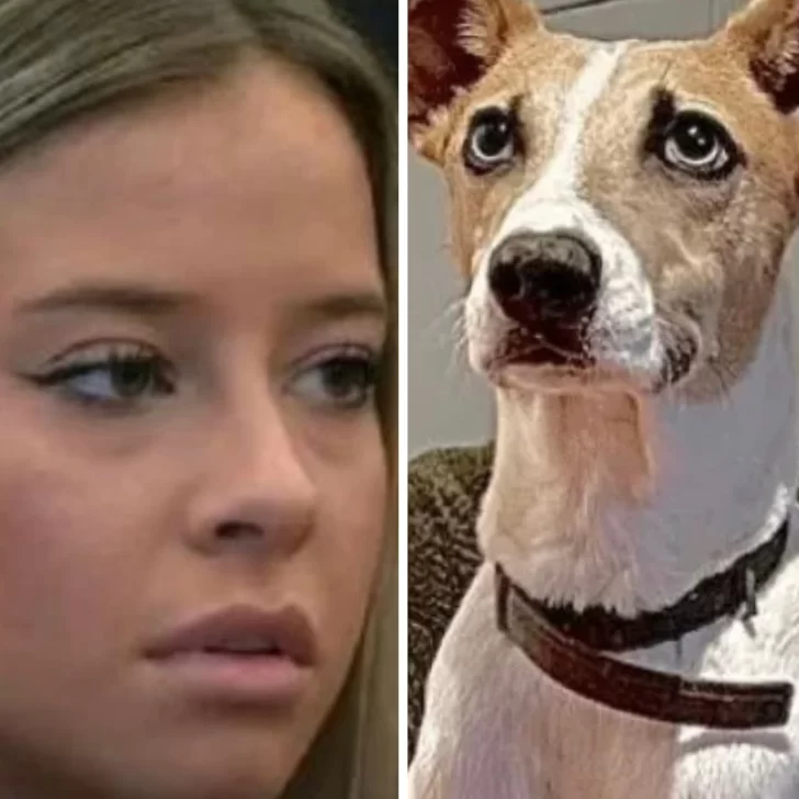 Piden la expulsión de Zoe de Gran Hermano luego de que maldijo al perro Arturo: “¡Qué horror!”