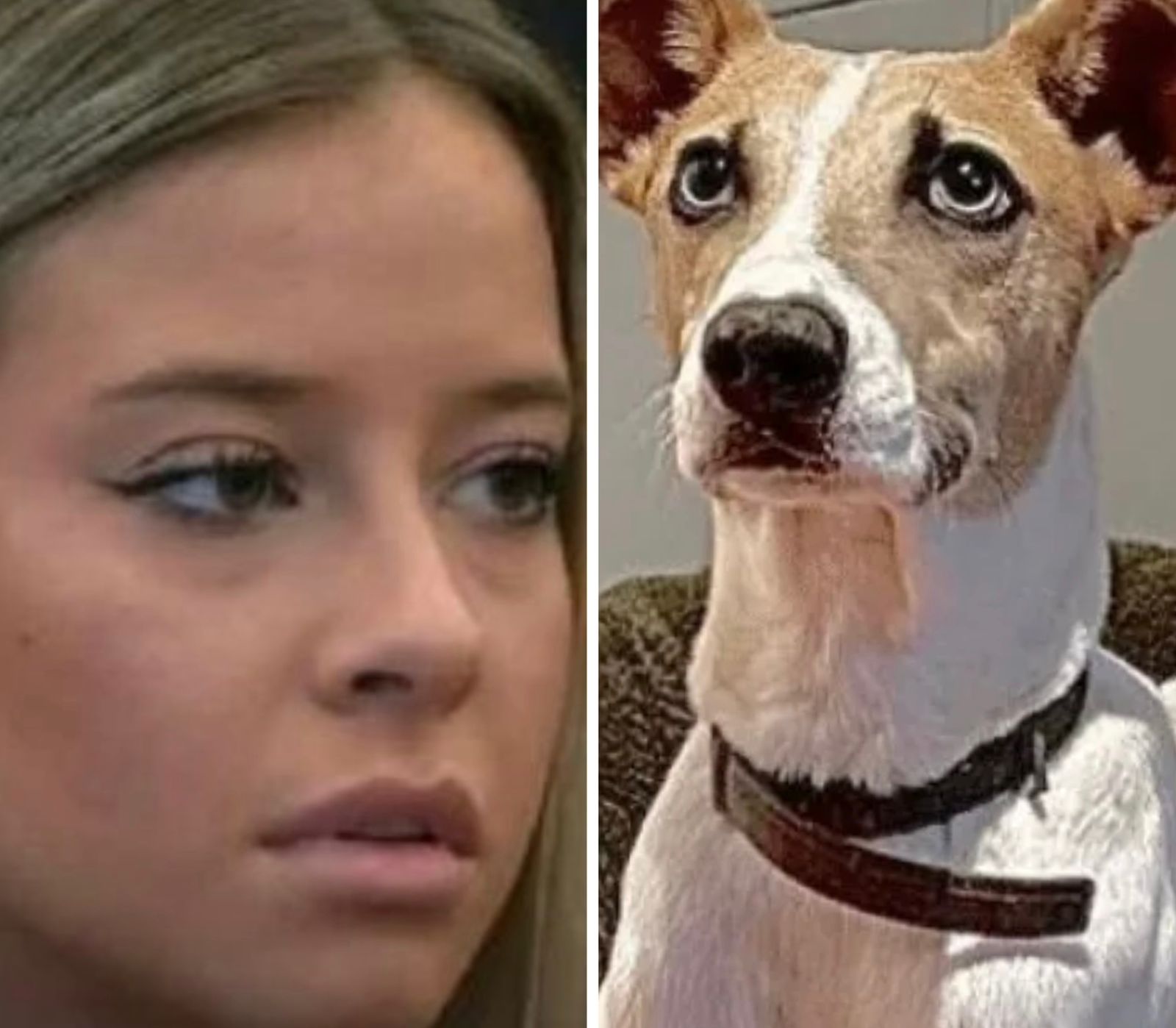 Piden la expulsión de Zoe de Gran Hermano luego de que maldijo al perro Arturo: “¡Qué horror!”