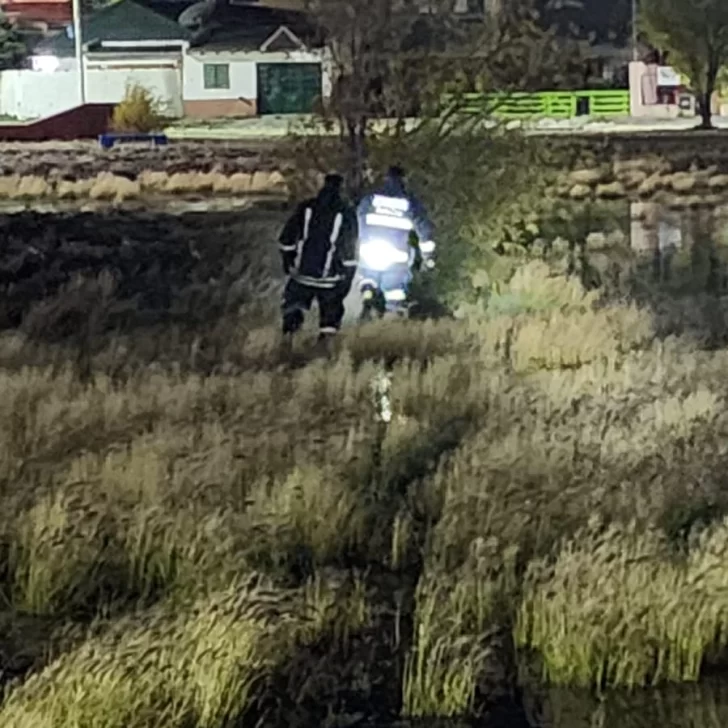 Rescataron a un perro atrapado en una laguna de Río Gallegos Rescataron a un perro atrapado en una laguna de Río Gallegos
