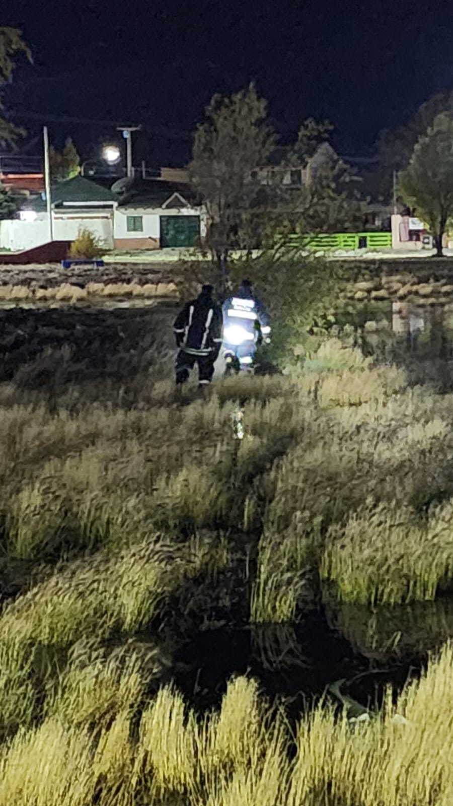 Rescataron a un perro atrapado en una laguna de Río Gallegos Rescataron a un perro atrapado en una laguna de Río Gallegos