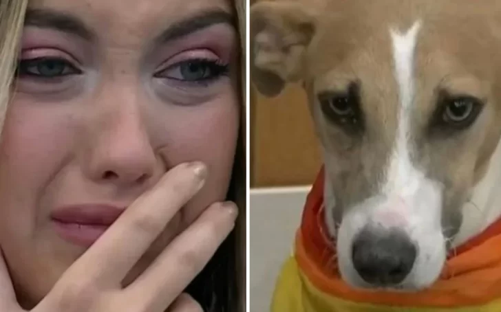 El perro Arturo lastimó a Florencia de Gran Hermano: “La agarró de los pelos”