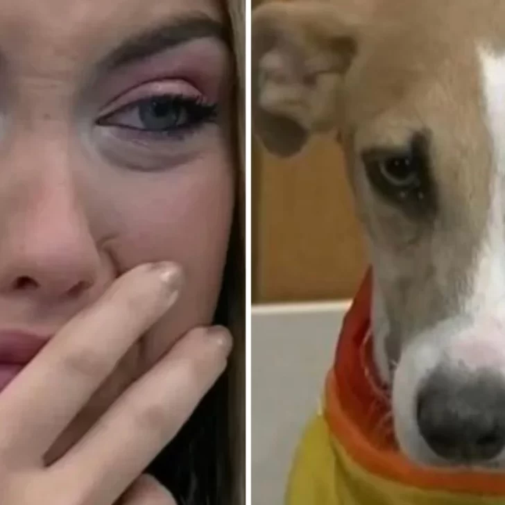 El perro Arturo lastimó a Florencia de Gran Hermano: “La agarró de los pelos”