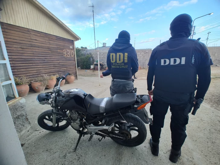 Fueron en busca de motos robadas y hallaron plantas de marihuana y hasta un arma de fuego