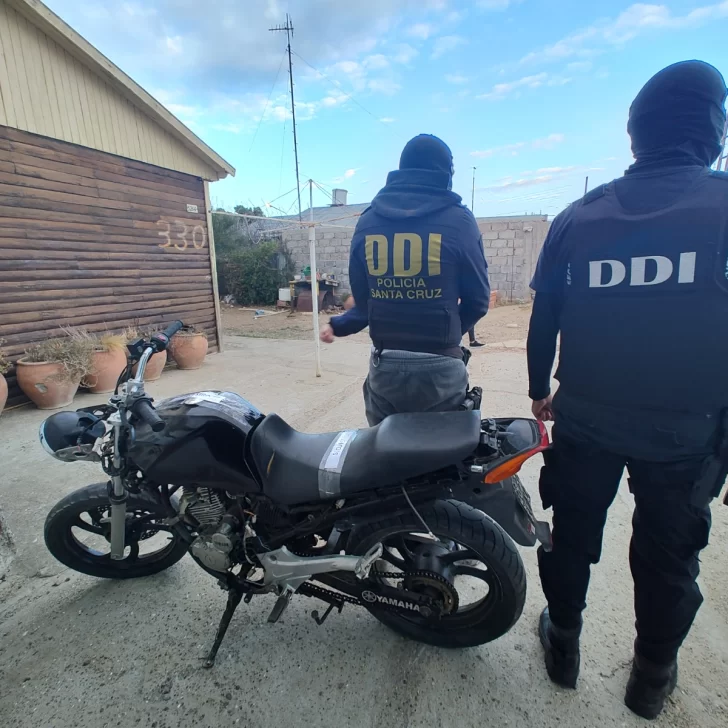 Fueron en busca de motos robadas y hallaron plantas de marihuana y hasta un arma de fuego