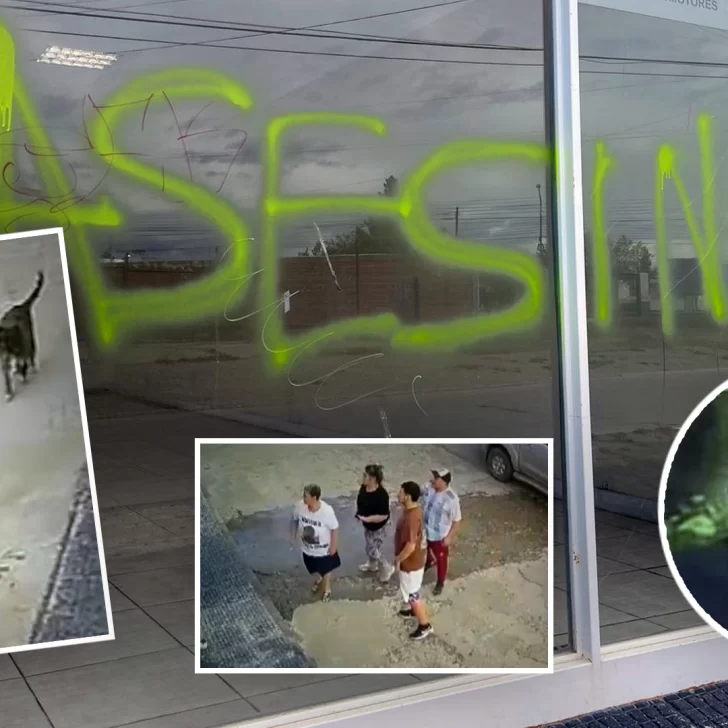 Video. Los abogados de Roberto Neil denunciaron a la familia Cuevas por seis causas de amenazas y destrozos en la agencia donde ocurrió la muerte Video. Los abogados de Roberto Neil denunciaron a la familia Cuevas por seis causas de amenazas y destrozos en la agencia donde ocurrió la muerte