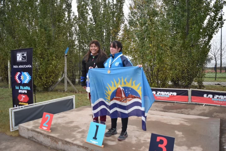 araucania-728x485 araucania-728x485