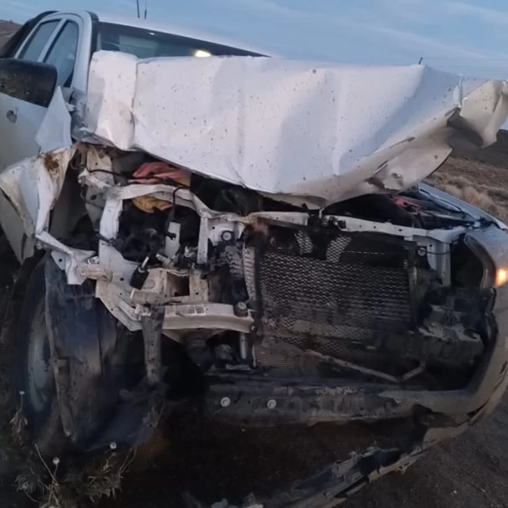 Conductor chocó contra un caballo en la ruta al oeste de Comodoro Rivadavia