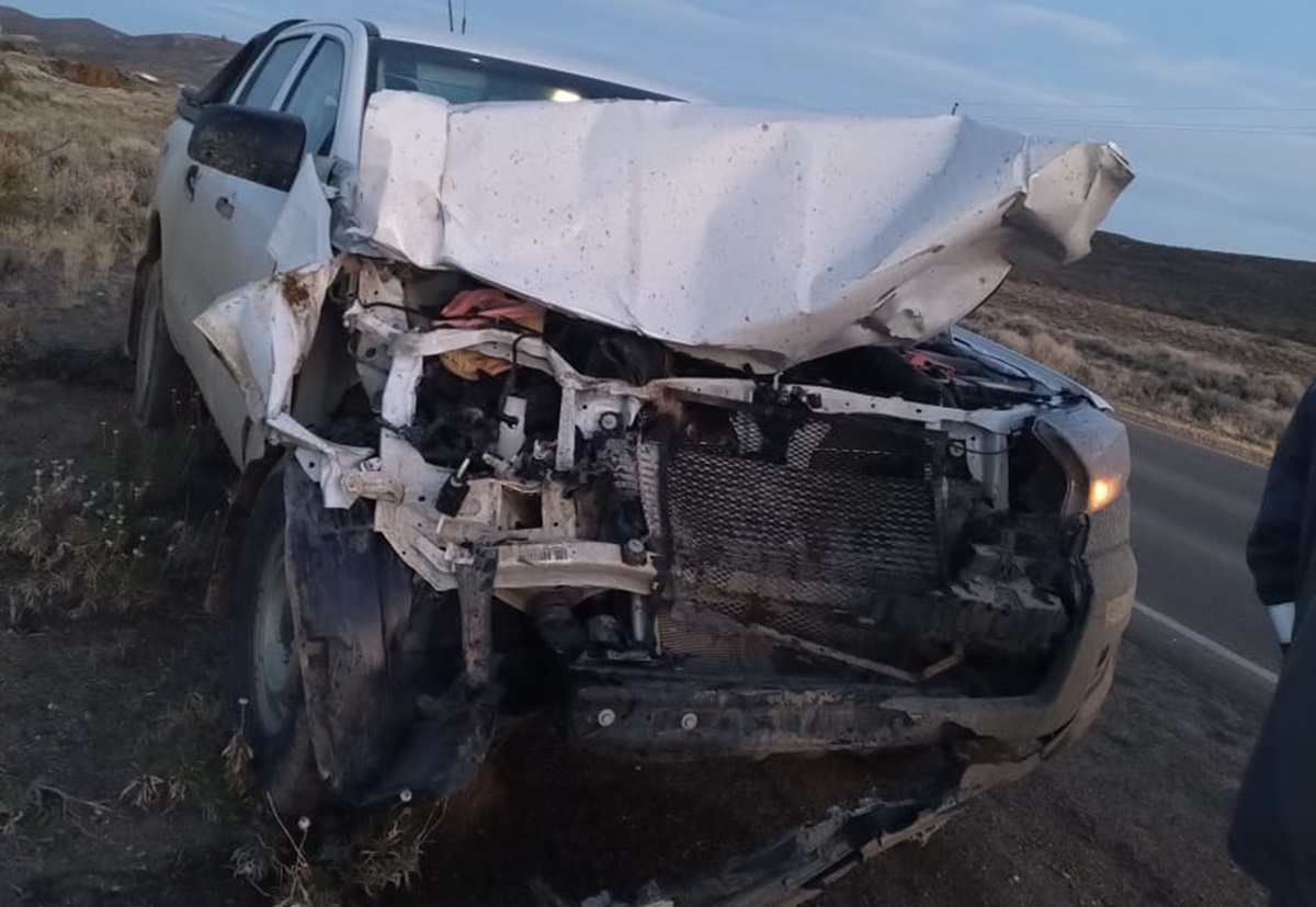 Conductor chocó contra un caballo en la ruta al oeste de Comodoro Rivadavia