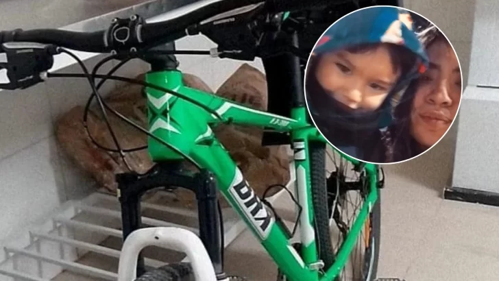 Le robaron la bicicleta que había armado para llevar a su bebé: “Sé quien pudo ser”