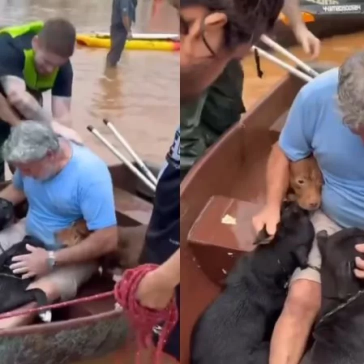 Video. Un hombre arriesgó su vida para salvar a sus cuatro perros de la inundación en Brasil