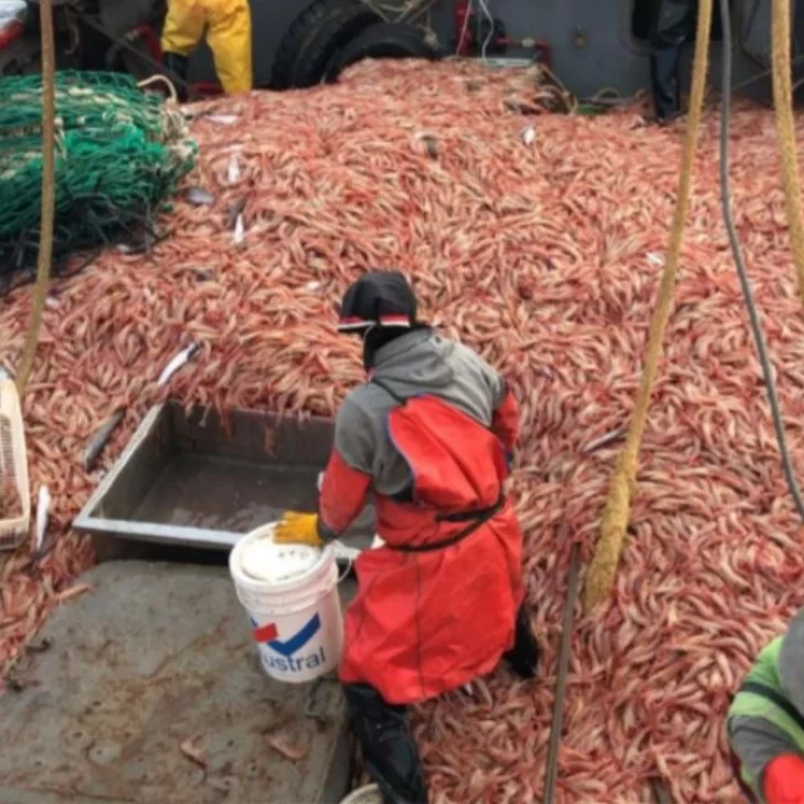 La negociación entre el SOMU y las cámaras empresarias fracasó: “Es una tragedia”