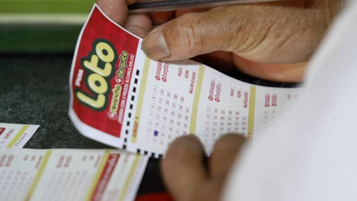 Dos marplatenses ganaron $34 millones en el Loto Plus: ¿Cuáles fueron los números de la suerte?